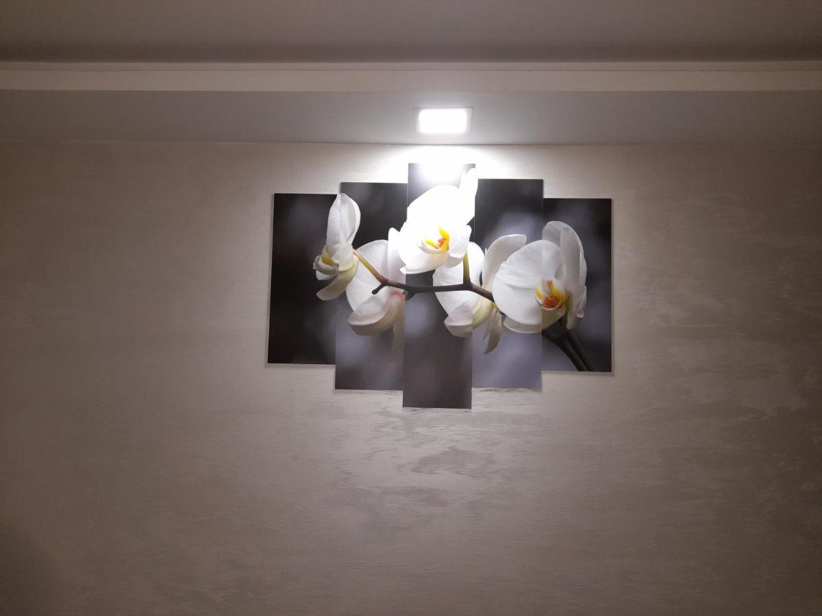 Daca 1 Apartment Belgrad Exterior foto